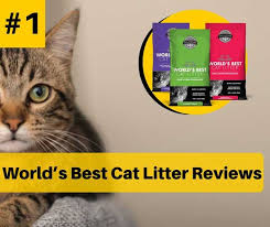 Worlds Best Cat Litter Brand Reviews In 2019 Catthink
