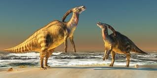 These Dinosaurs Tooted Their Own Horns History Taxobox name = parasaurolophus image width = 230px image caption = parasaurolophus cyrtocristatus , field museum of natural history. these dinosaurs tooted their own horns