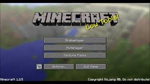Minecraft fans were recently thrown into panic mode by reports that the server would be shutting down in december 2020, making this the final . Top 5 Ways To Fix Cannot Connect To Server Error In Minecraft