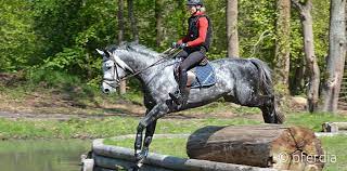 We would like to show you a description here but the site won't allow us. Our Top Training Tips For Clearing The Cross Country Jumps