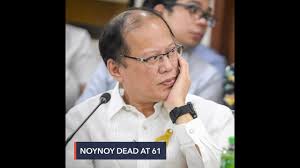 In a medical journal, the author suggested that the hmong who died were killed by their own beliefs in the spiritual world, otherwise known as nocturnal pressing spirit attacks. Ryx6xl4t1glwnm