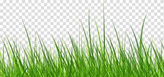 Cartoon Fresh Grass Transparent Background Png Clipart Hiclipart Free cartoon grass vector download in ai, svg, eps and cdr. cartoon fresh grass transparent