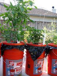 The Dearthbox A Low Cost Self Watering Planter Self Watering Planter Self Watering Containers Self Watering
