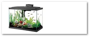 Including fish medicine, lighting help keep your fish healthy in their proper environment with lambert vet supply selection of fish. Your Top Source For Fish And Aquarium Supplies Glass Aquatics