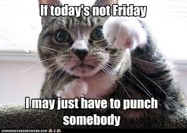 Quickmeme.com friday cats memes | quickmeme. Lolcats Friday Lol At Funny Cat Memes Funny Cat Pictures With Words On Them Lol Cat Memes Funny Cats Funny Cat Pictures With Words On