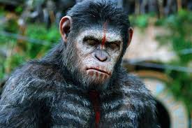 Dawn Of The Planet Of The Apes | Rotten Tomatoes
