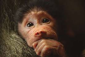 TCV_171003_Broad_Layout 1