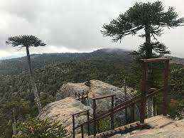 Cañete, san vicente de cañete. Canete Photos Featured Images Of Canete Biobio Region Tripadvisor