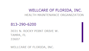It only covers doctor visits and hospital stays. 1326205600 Npi Number Wellcare Of Florida Inc Tampa Fl Npi Registry Medical Coding Library Www Hipaaspace Com C 2021