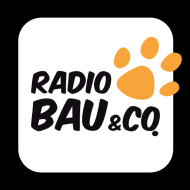 	RMC Radio Bau & Co