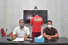 Arkeologis mengatakan mereka menduga ada kemungkinan taman rusa tersembunyi dengan ditemukannya tiga bukti, yaitu bentuk kandang oval, bukti jalur sungai dan selokan yang dibangun di tempat tersebut, dan nama brynkir itu sendiri yang dalam bahasa wales diartikan 'bukit rusa'. Polisi Tangkap Kakek Penyelundup 300 Kg Daging Rusa Dari Taman Nasional Komodo Bagian 1