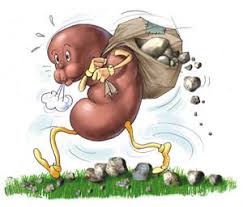 Pin On Urology Jokes