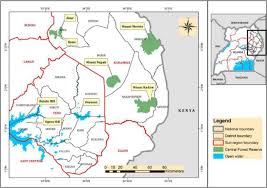 Image result for Rhynchosia goetzei