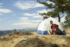 Image result for how effective is outdoor wilderness depression treatment