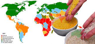 Because many children within countries where there is a dietary deficiency in vitamin a depend on rice as a staple food, the genetic modification to make rice. Golden Rice Moving Forward In Philippines Alliance For Science