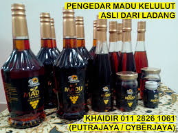 Madu syahmi sebagai supplier madu klaceng asli yang berlokasi di kabupaten mempawah, kalimantan. Madu Kelulut Asli Dari Ladang Khaidir S Journeys