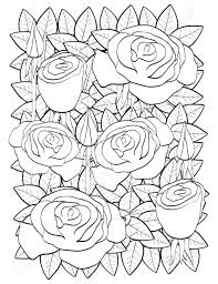 Then add the top and bottom ribbon ending curves in. Roses Coloring Page Vector Illustration Royalty Free Cliparts Vectors And Stock Illustration Image 149895501