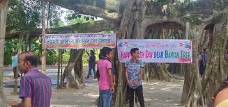 The redwood (sequoia sempervirens) was discovered in july 2006. Birthday Celebration Of 2nd Biggest Tree In Asia Pratidin Time