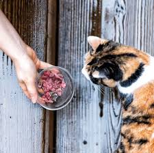 There is a chasm between cat owners who feed their pets raw or homemade cat food and veterinarians who warn that without quality control, the risks of. Homemade Cat Food Recipes How To Make Your Own Cat Food