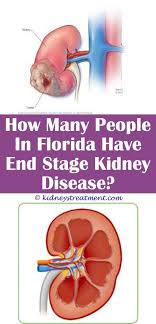Pin On Polycystic Kidney Disease