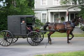 We did not find results for: Mennonites Of Yates Co Exhibit Opens May 3 News The Chronicle Express Penn Yan Ny