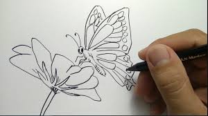 Berlatih menggambar sketsa dapat meningkatkan imajinasi dan daya kreativitas anak. Sketsa Kupu Kupu Kumpulan Gambar Dan Cara Menggambar Lengkap