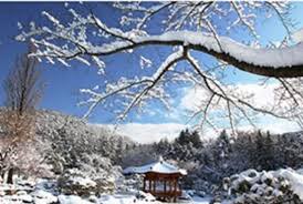 Musim luruh di korea bulan berapa. Korea Tourism Organization Indonesia Cuaca Korea
