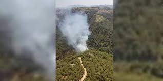 Zamanında müdahale ile yangın, yarım saat saatlik çalışma sonucunda söndürülürken, yaklaşık 1 dönümlük alanın yandığı öğrenildi. Mugla Nin Koycegiz Ilcesinde Yangin