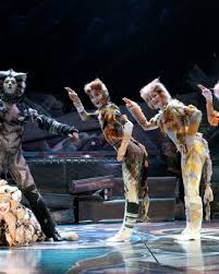Casting is set for the upcoming broadway revival of andrew lloyd webber's iconic musical cats. The Old Gumbie Cat Cats Musical Wiki Fandom