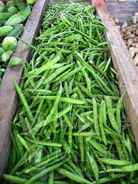 Image result for Cyamopsis