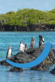 Pin On The Galapagos Islands