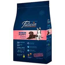 felicia lb puppy kopek mamasi 15 kg yavru kopek kopek canta