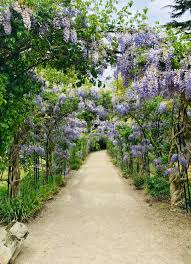 Bin Im Garten Und Hore Den Bienen Beim Summen Zu In 2020 Gartenbilder Gartenumgestaltung Garten Ideen