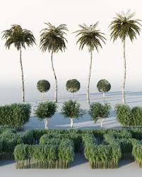 Free Trees And Bushes 3d Model Price Render Rendering 3dmodels Vray Design 3dmodel 3dart Photoshop Cgsouq 3d Model Corona Render Tropical Plants