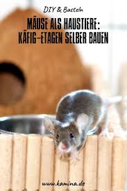 mause als haustiere kafig etagen selber bauen haustiere selber bauen haustier