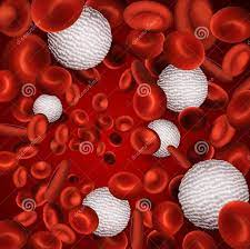 ما هو الفرق بين كريات الدم الحمراء والبيضاء nespresso nespresso cups kitchen appliances