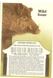 Pin By Alease Meads On Zodiac Based Life Chinese Astrology Pig Zodiac Astrology