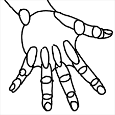 Hande Zeichnen Lernen Die Hand Schwieriges Motiv Leicht Erklart
