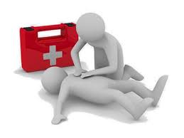 Wij zorgen voor het jaarlijkse onderhoud, met een servicecontact bent u stichting reanimatie & aed nederland naardermeer 118 1447kn purmerend tel: Reanimatie Aed Cursus Vriendenschaar