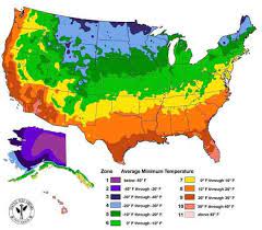 Australia lies in usda plant hardiness zones 7 through 12 with some variations across regions and seasons. How To Grow Eucalyptus Trees Gardening Channel