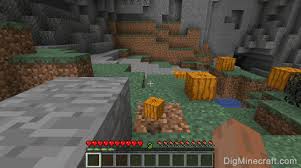 When you need awesome concepts for this. How To Make A Pumpkin In Minecraft