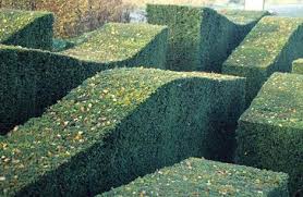 Pin On Piet Oudolf S Netherland Garden