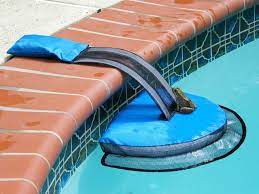 The time it takes for the chipmunk to drown can vary which may or may not be acceptable to. This Ingenious Device Saves Small Animals Such As Frogs Salamanders Mice Or Chipmunks From Drowning After They Fall In A Pool Pics