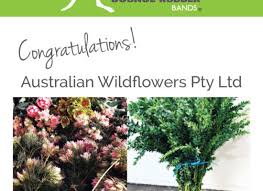 700,000 rubber bands of all sizes were used for the ball. Bounce Rubber Bands Supplies High Quality Natural Rubber Bands