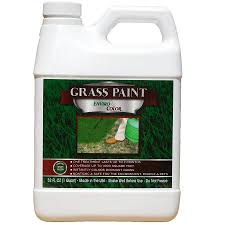 Envirocolor 32 Oz 4evergreen Grass And Turf Paint In The Pine Needle Mulch Dyes Department At Lowes Com