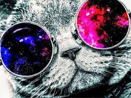 We did not find results for: Cat With Space Sunglasses Animals Paint By Number Numeral Paint