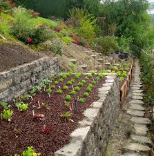 So You Want A Garden But Your Landscape Is Nothing More Than A Steep Hill Or Slope What Is A Gardener Terrace Garden Design Sloped Garden Backyard Landscaping