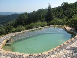 Piscine Naturelle Bassins Separes Artisan Paysagiste 38 Agrave Rennes Bretagne