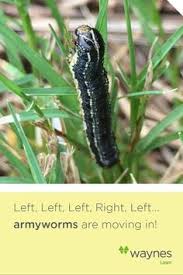 We pride ourselves in providing a pest control experience that is unmatched in the birmingham area. Waynes Callwaynes Profile Pinterest