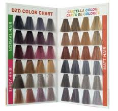 China Color Swatch Book With Shining Synthetic Hair China